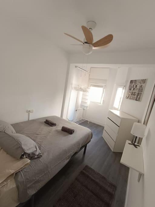 Apartment Estupendo Piso Renovado A 30 Metros De La Playa
