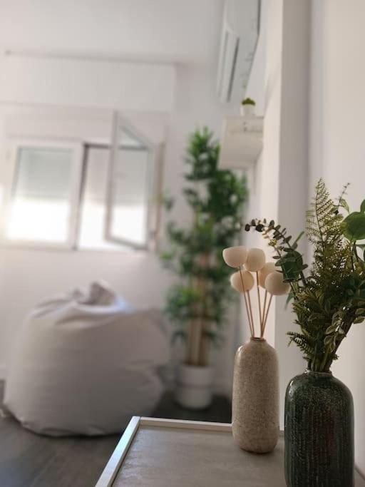 Apartment Estupendo Piso Renovado A 30 Metros De La Playa Almeria